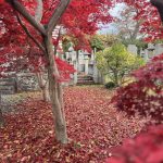 多趣味な私の紅葉とパワースポット巡り。善光寺や榛名神社、玉龍寺など